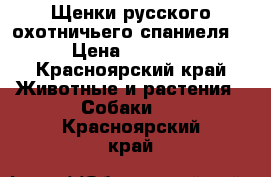 Щенки русского охотничьего спаниеля  › Цена ­ 5 000 - Красноярский край Животные и растения » Собаки   . Красноярский край